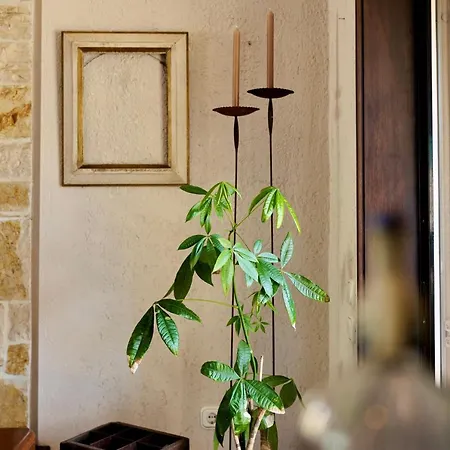 Villa Elvis Corfu Multi Generation Gouvia